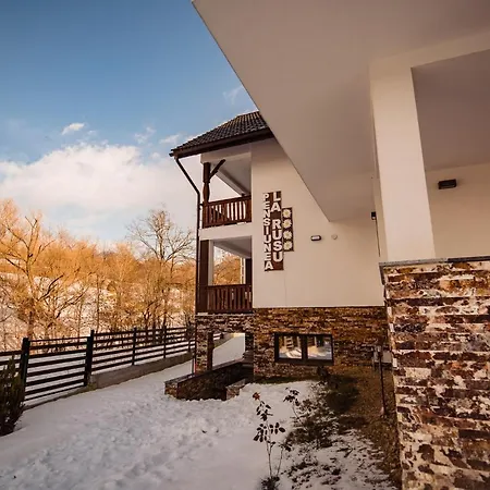 Agropensiunea Turistica La Rusu Villa