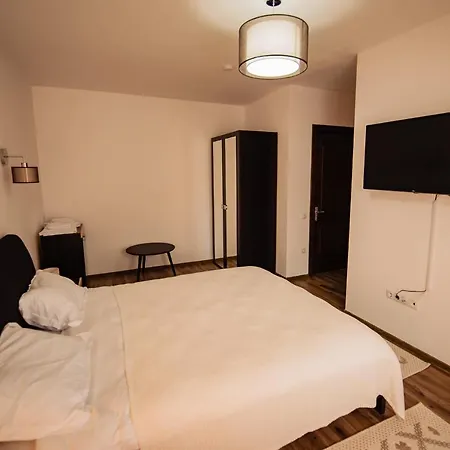 Agropensiunea Turistica La Rusu Villa *