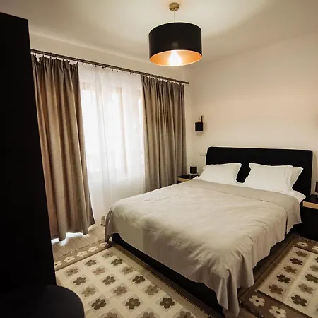 Villa Agropensiunea Turistica La Rusu Rodna