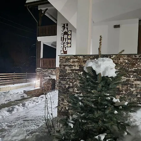 Agropensiunea Turistica La Rusu Villa *